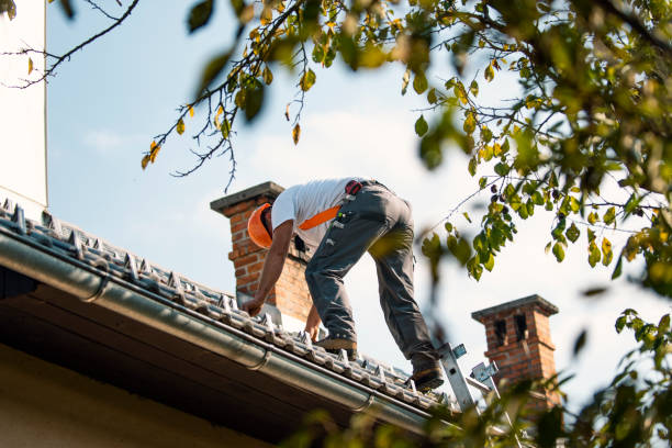 Best Green or Eco-Friendly Roofing Solutions  in Monrovia, MD